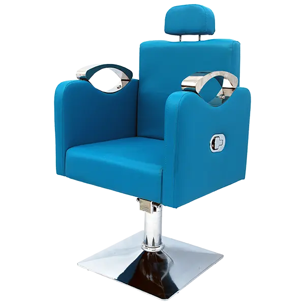 Salon Chairs Supplier in Kolkata - Relax Seating System